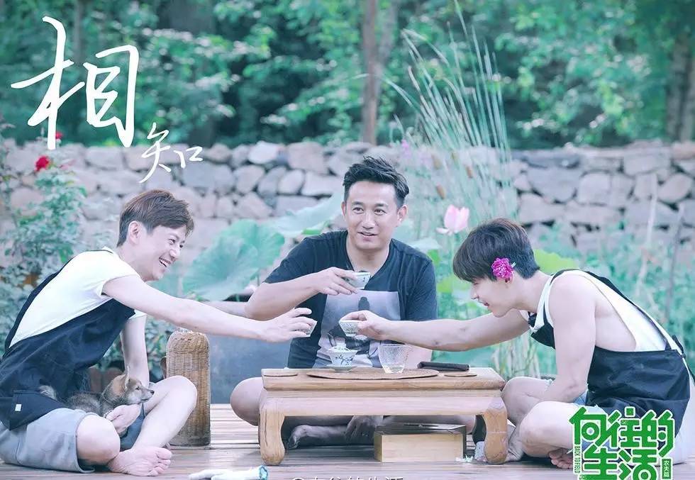 向往的生活口碑最好的一期,向往的生活每一期套路