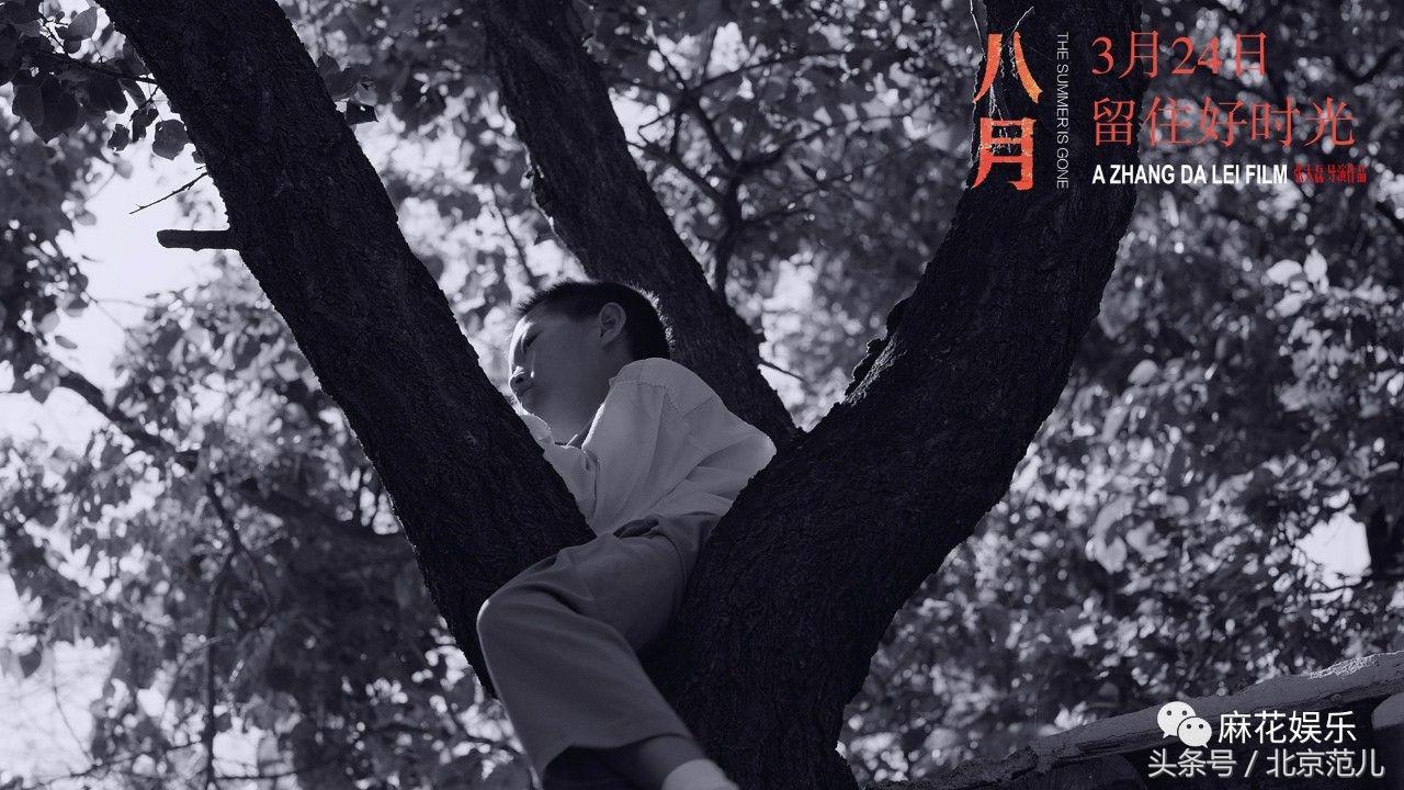 电影八月全部,电影八月完整版