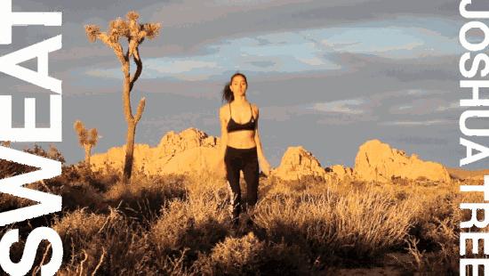 adriannehosupreme,adrianneho李宁