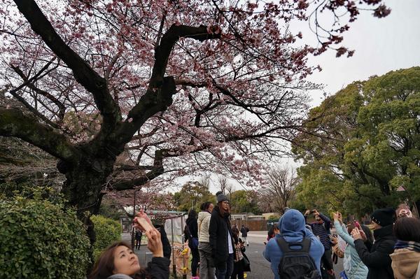出国旅游过海关视频,出国旅游怎么过海关