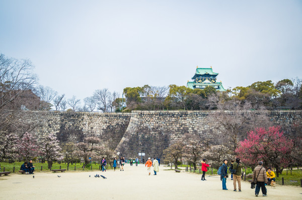 樱花烂漫几多时完整版,日本樱花节赏樱攻略视频大全