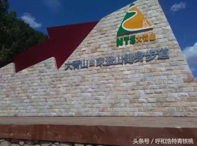 清明陵园交通管制最新,清明墓区交通管制