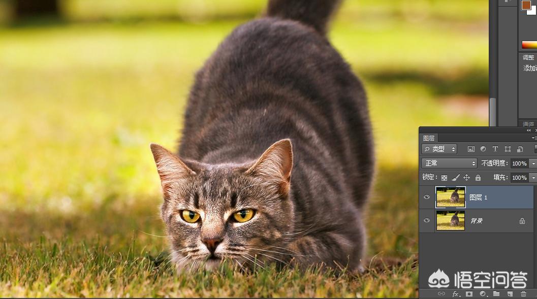 照片拍虚了ps怎么修复,拍了一张照片怎么用ps处理