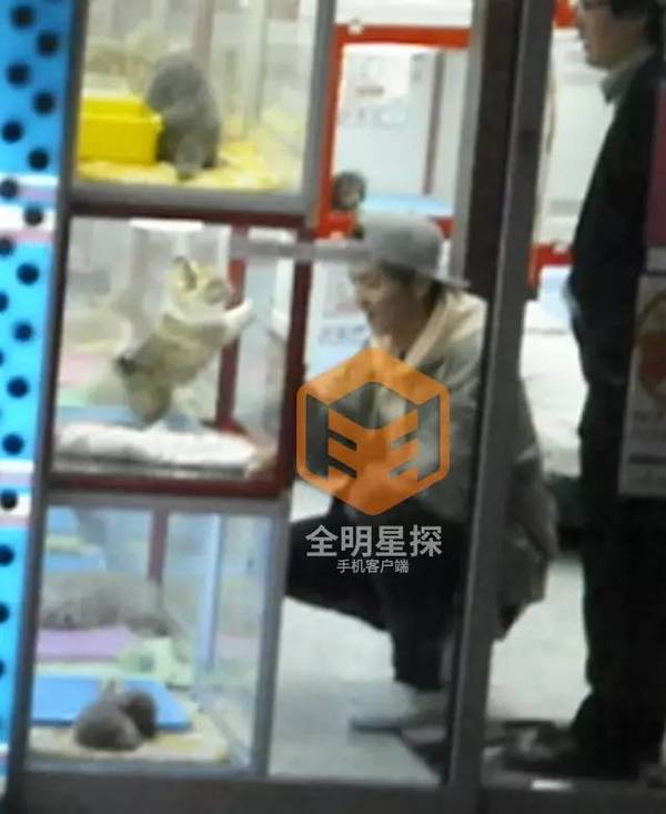 鹿晗日本游,鹿晗日本旅游