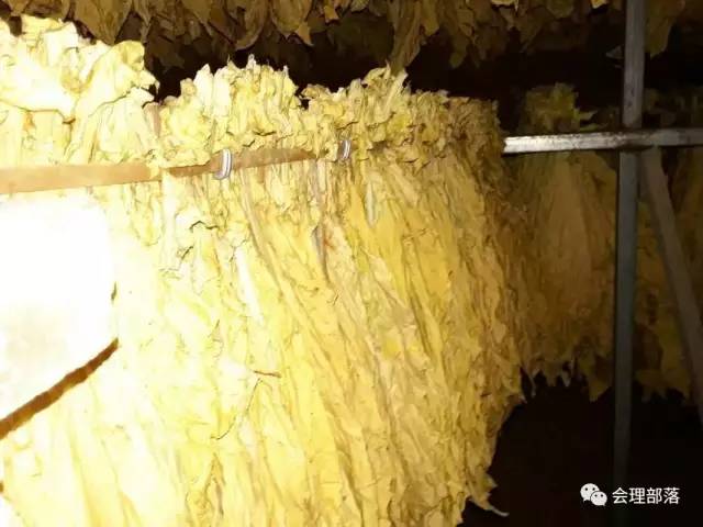 牛人发明全自动卷烟机器视频,牛人自制发明抽烟机