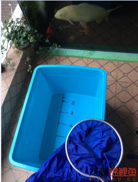 疖子的最佳治疗方法,疖子疮怎么治疗