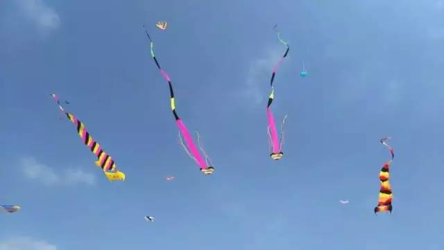 青田旅游路线推荐,青田周末自驾游