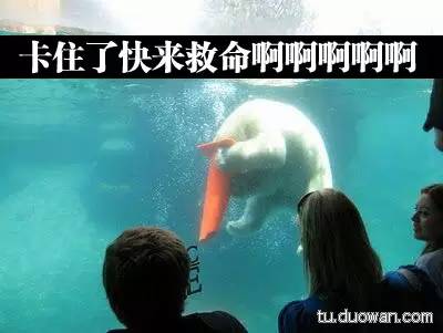 4个小伙子爬山帮助一位老人，结果几天后奇迹发生，别人都羡慕死了！