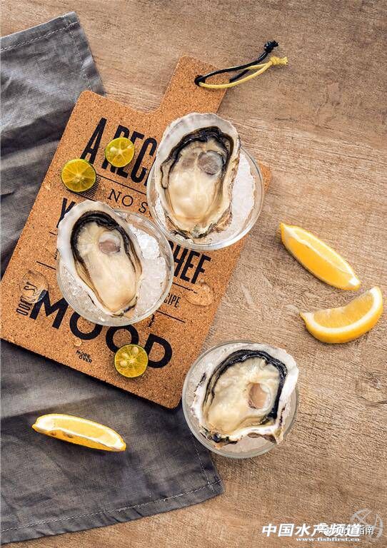 新西兰青口贝哪个好吃,鲍鱼扇贝生蚝哪个最好吃