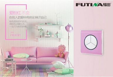 不一样的福田,福田与飞雕开关哪个牌子便宜点