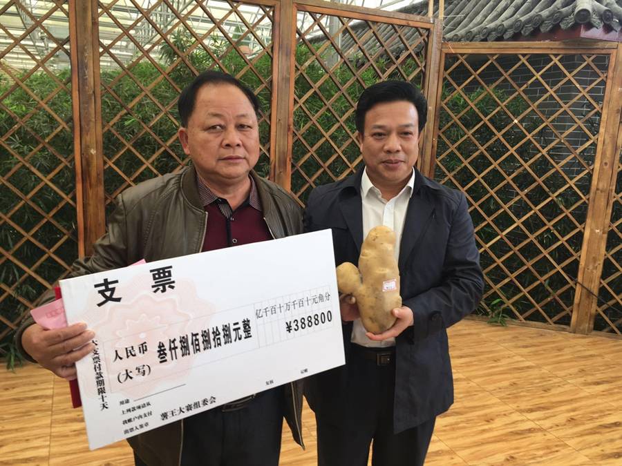 总重2.021公斤，“玉林薯王”横空出世！只是怎么觉得它长得像……