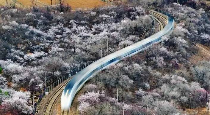 美爆了，让我们乘着长安号，去长城看花！