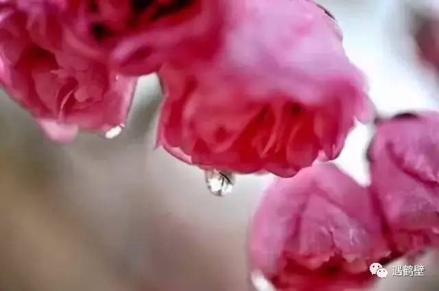 寻找紧急扩散人员名单,紧急寻找紧急扩散