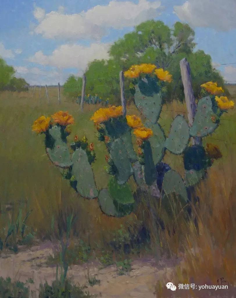 油画速干油的作用,如何让油画棒速干