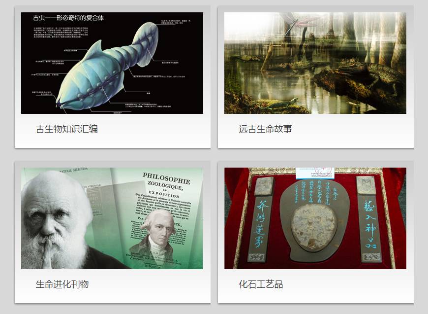 关于科普恐龙的网站,关于恐龙的科普书