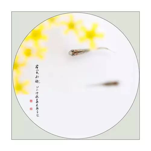 投稿装饰画,投稿绘画作品