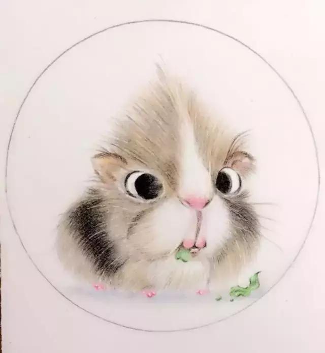 仓鼠手绘,萌萌仓鼠手绘图片