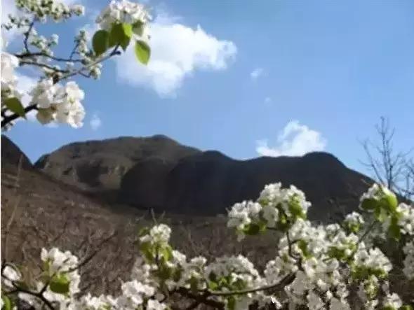 美爆了春天好去处,天津春天赏花的地方有哪些推荐