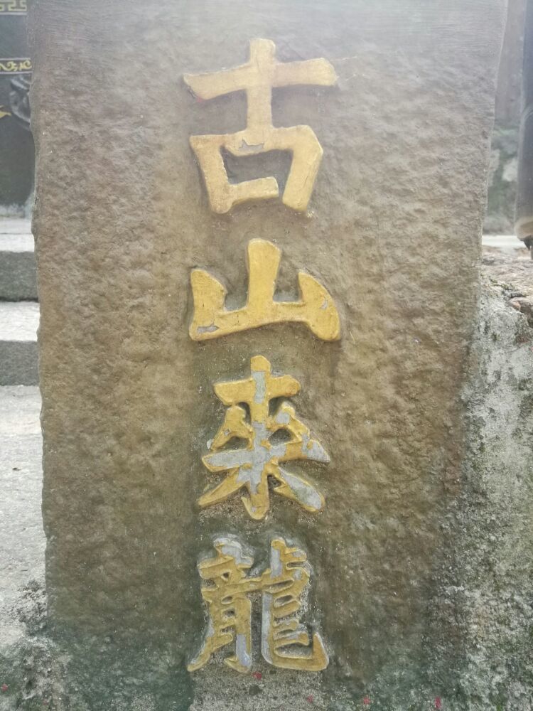 到中山的千年古刹古香林寺旧址周边山林探秘，感觉大自然太美啦