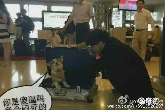 扣方便面，扣火锅底料？说说你都被海关扣过哪些奇葩东西？