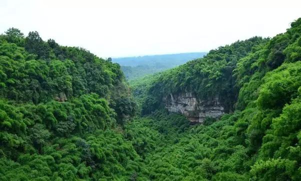 成都附近一小时氧吧,成都周边森林免费氧吧推荐