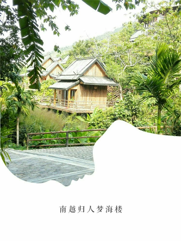 海南之旅感悟,海南行的点滴回忆