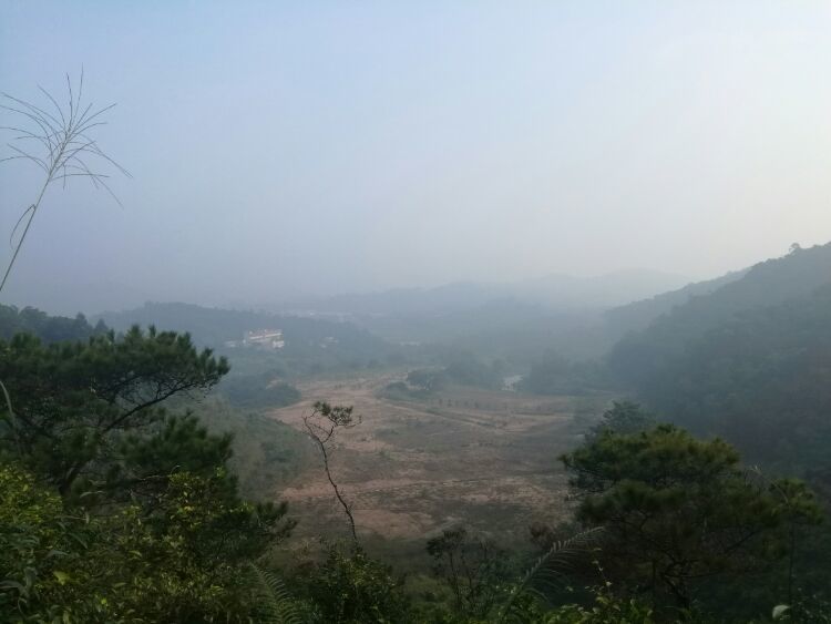 到中山的千年古刹古香林寺旧址周边山林探秘，感觉大自然太美啦