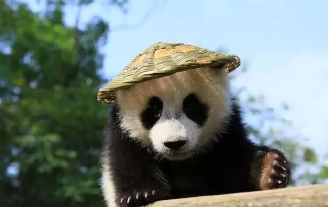 澳洲旅游必备神器,澳洲旅行必备物品清单