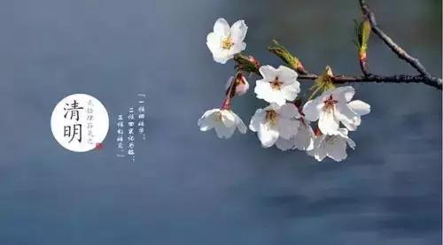 外出踏青要注意什么安全,清明踏青皮肤过敏