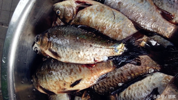 雄安白洋淀冬季旅游攻略,远离喧嚣白洋淀旅行