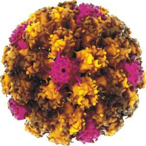 宫颈癌筛查ts和tct哪个好,65岁宫颈带着血做tcthpv检查可以吗