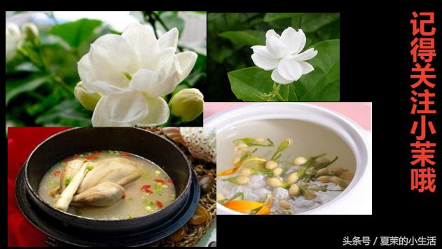 新乡的你要知道，养这些花对身心好，最后一个能吃