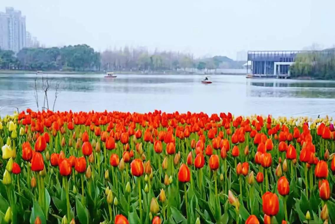 漫步上海魔都秋游的十个好去处,魔都最美的九大公园