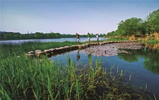 一天游西湖攻略,怎样游西湖十景