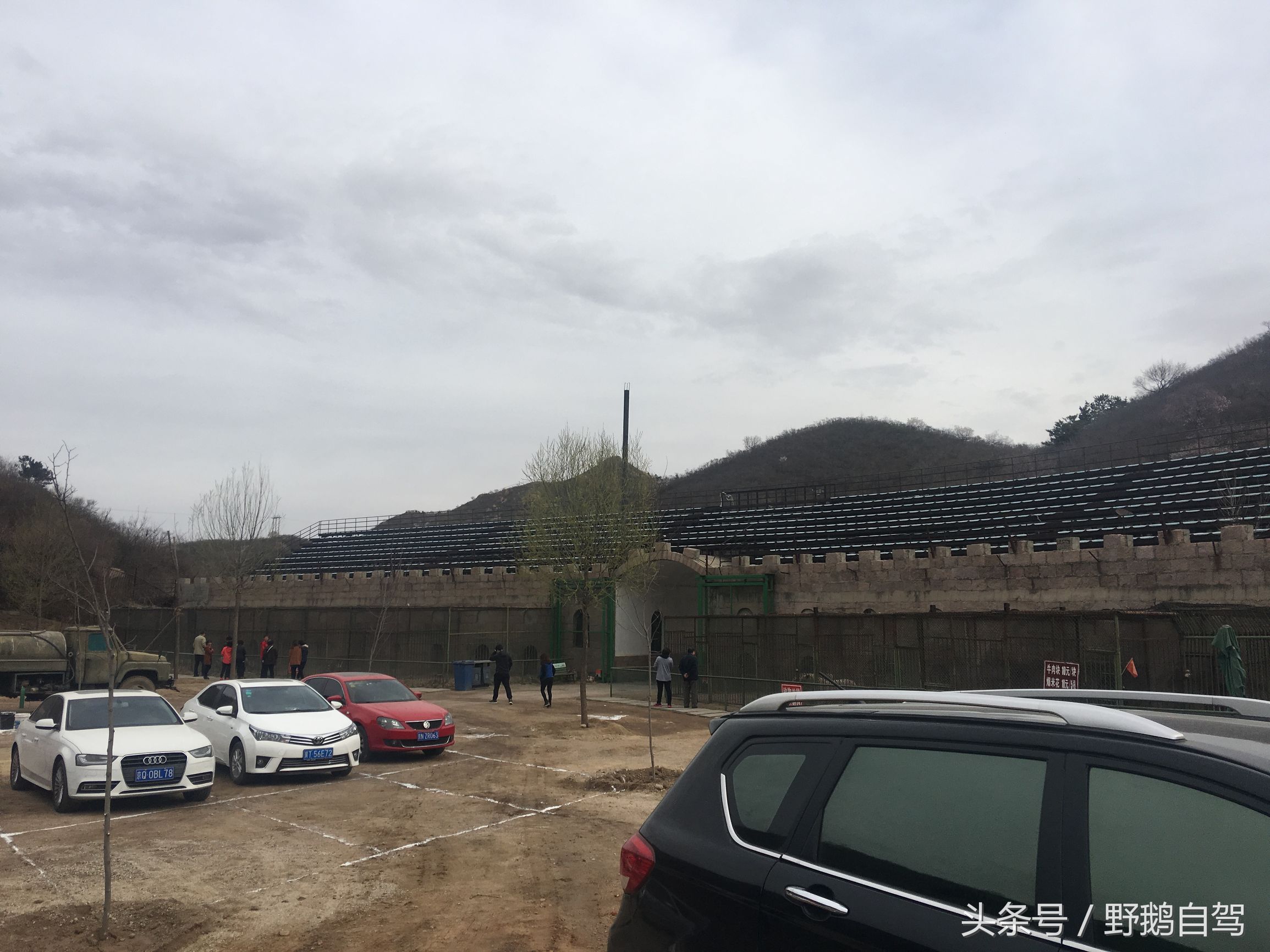 八达岭野生动物园野兽区,八达岭动物园自驾攻略大全