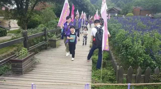 不用去罗平也可以看油菜花,不用去日本也能看的樱花海