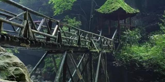 成都附近一小时氧吧,成都周边森林免费氧吧推荐