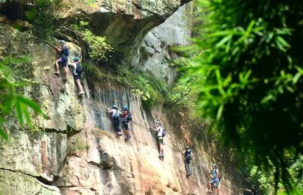 成都附近一小时氧吧,成都周边森林免费氧吧推荐