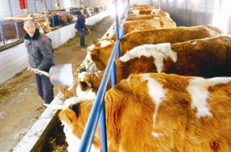 合作社执照哪个银行贷款,合作社有什么贷款产品