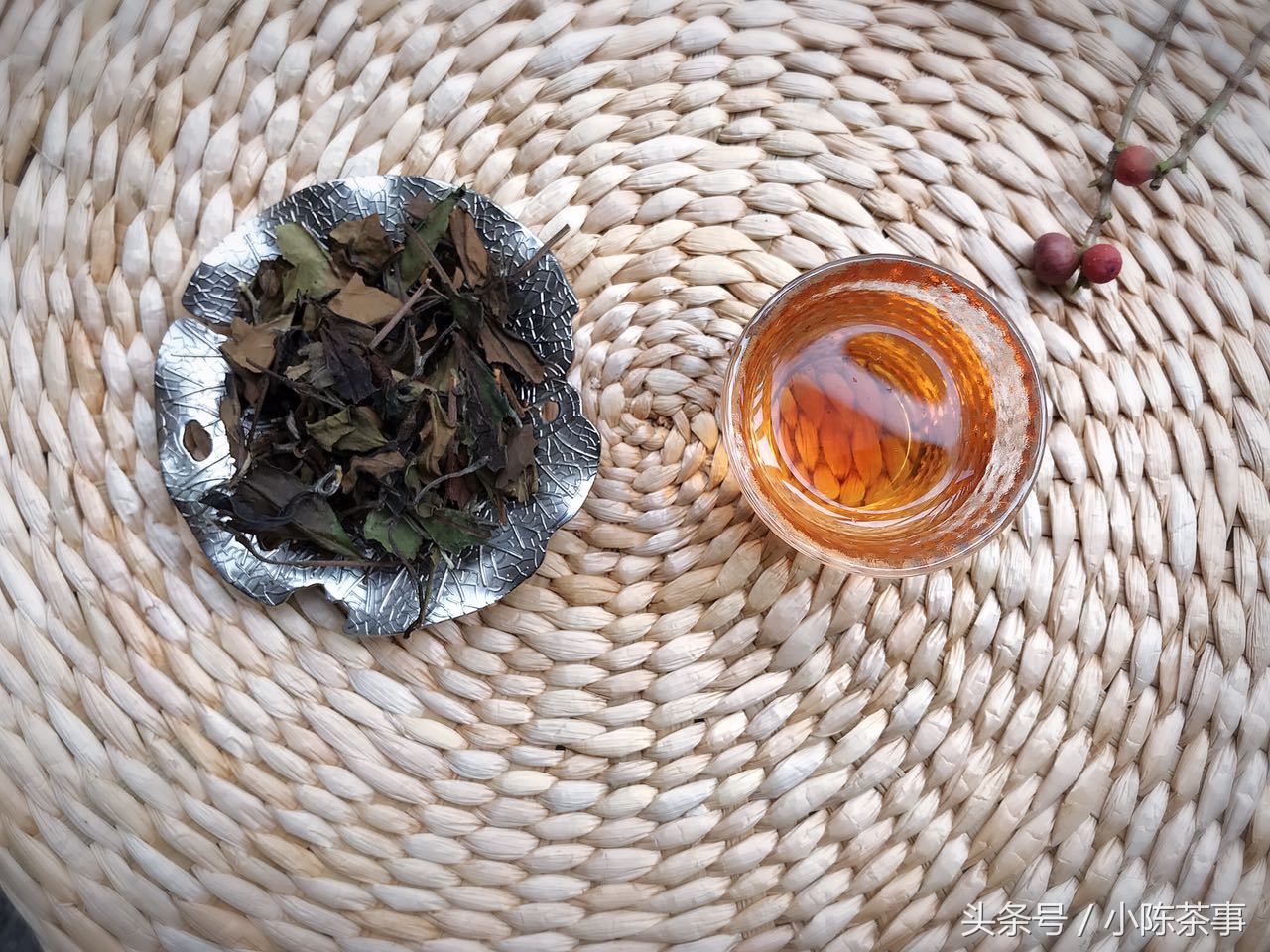 鏄ユ棩澶氬彂鐥呯棁,鏄ユ棩鐤剧梾棰勯槻