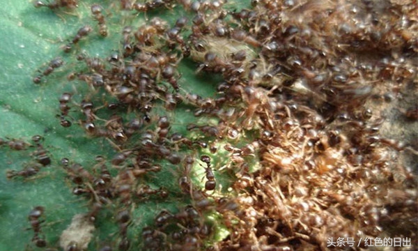 善良小伙帮了人救了自己一命,善良小伙帮老人救自己一命下集