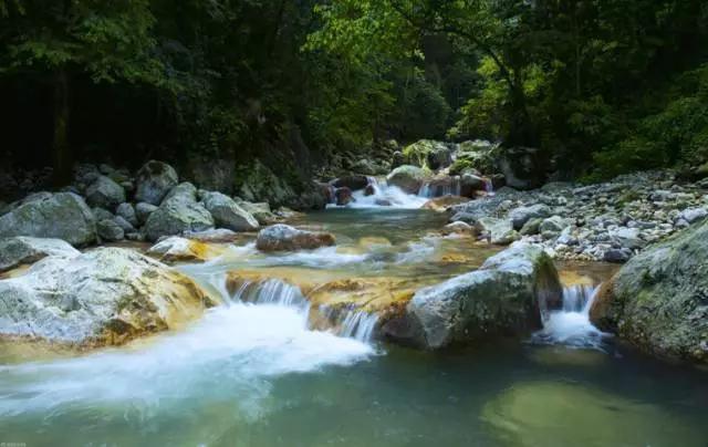 成都附近一小时氧吧,成都周边森林免费氧吧推荐
