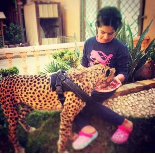 顶级豪车豪宅,豪宅豪车那么有吸引力吗