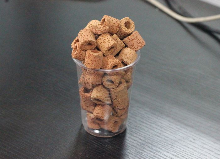 水产养殖户解决养鱼难题,观赏鱼养殖入门