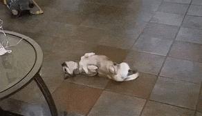 流氓会武术谁也挡不住出处,流氓会武术谁也挡不住