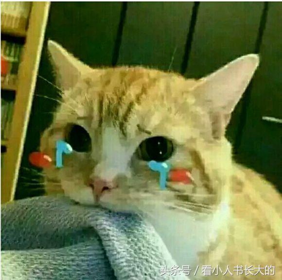 因为打王者荣耀，我被老板开了！