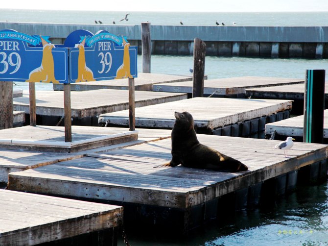心在路上中文版,心在路上完整版教程