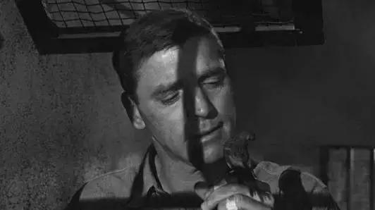 这些电影你都看过吗,这些电影你一定看过混剪