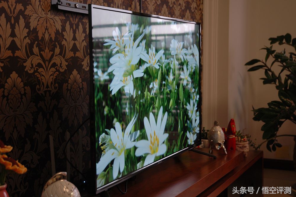 微鲸42寸电视,微鲸电视55英寸