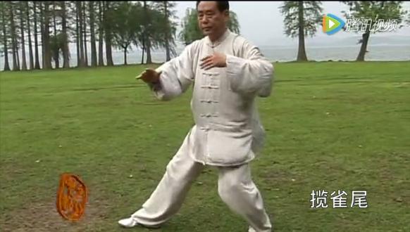 传统杨式85式太极拳云手傅清泉,杨式85式太极拳云手单鞭教学